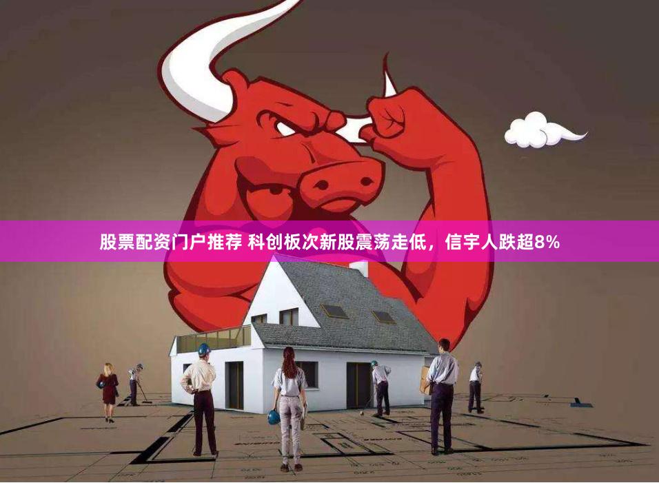 股票配资门户推荐 科创板次新股震荡走低，信宇人跌超8%