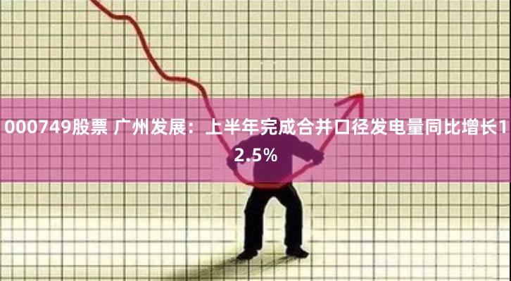 000749股票 广州发展：上半年完成合并口径发电量同比增长12.5%