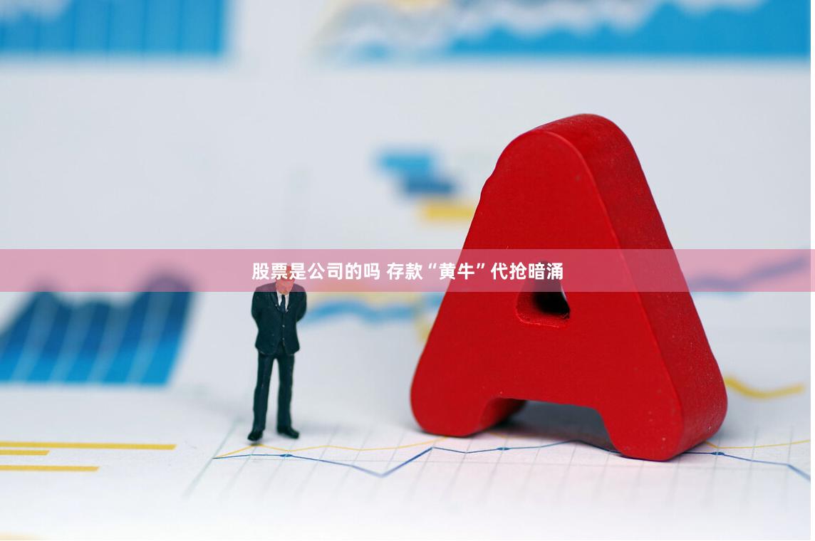 股票是公司的吗 存款“黄牛”代抢暗涌
