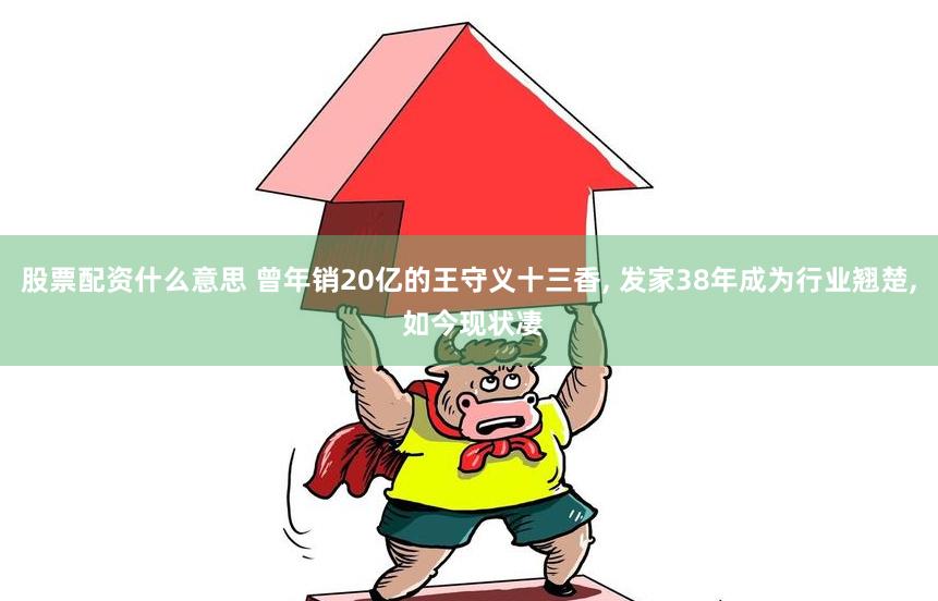 股票配资什么意思 曾年销20亿的王守义十三香, 发家38年成为行业翘楚, 如今现状凄