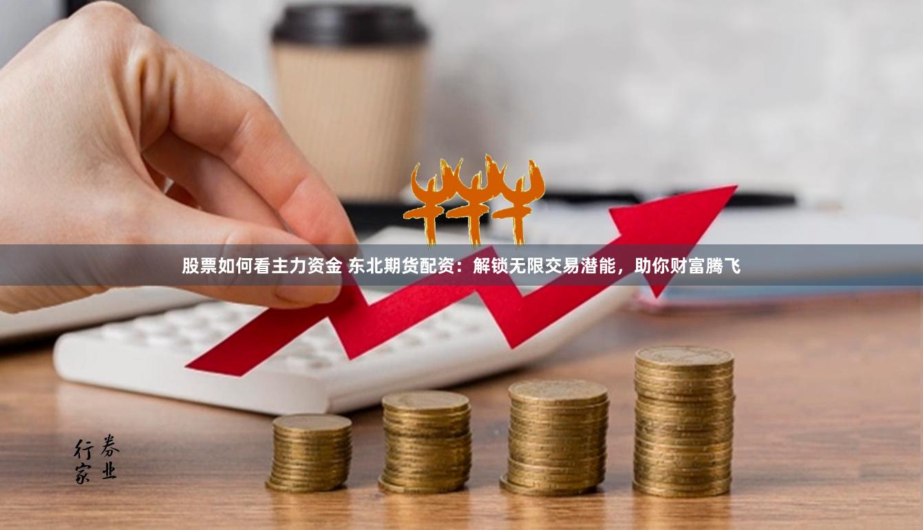 股票如何看主力资金 东北期货配资：解锁无限交易潜能，助你财富腾飞
